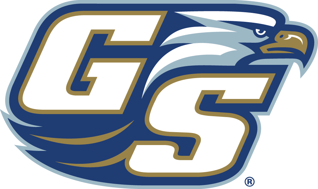 Georgia Southern Eagles 2004-Pres Alternate Logo v2 diy iron on heat transfer